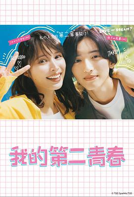 巩义优化管理办网站